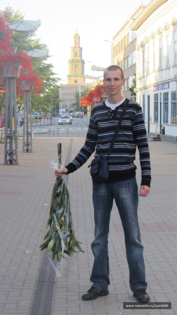 photo 1502524
