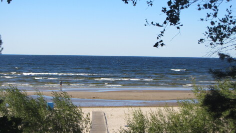 photo 1502535