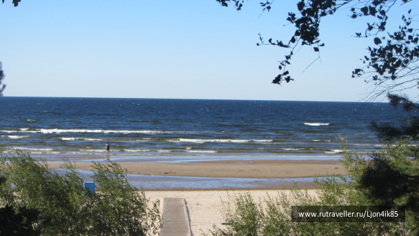 photo 1502535