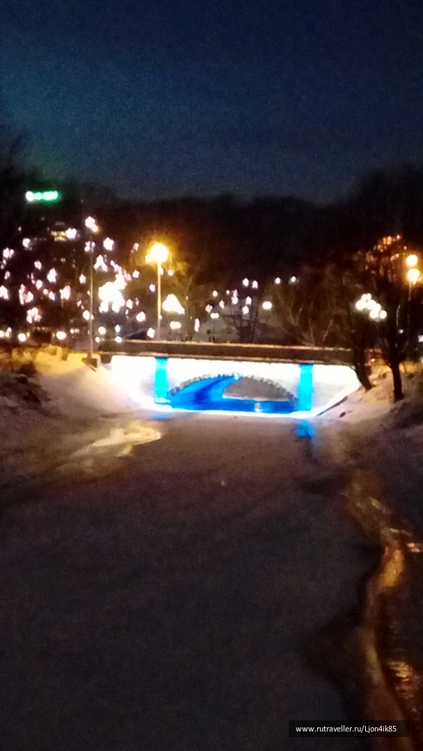 photo 1502569