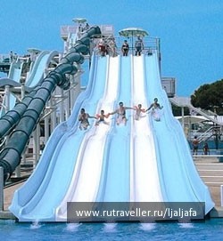 photo 464279