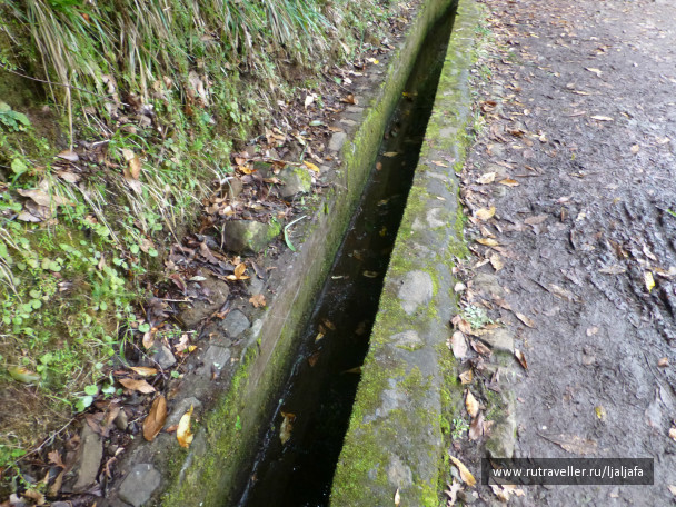 photo 456020