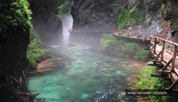 photo 459641