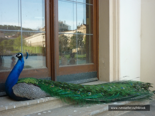 photo 1021473