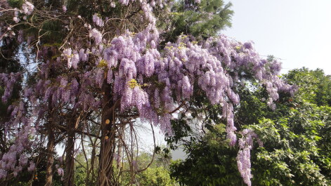 photo 367353