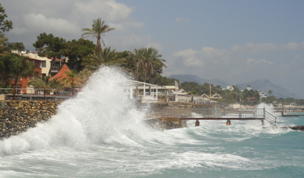 DSC05103