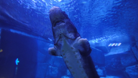 photo 416296