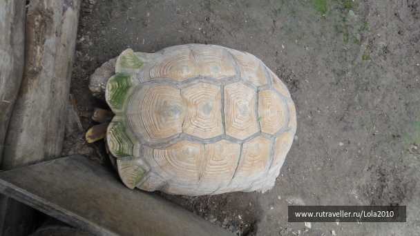 photo 1482141