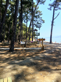 photo 1646528