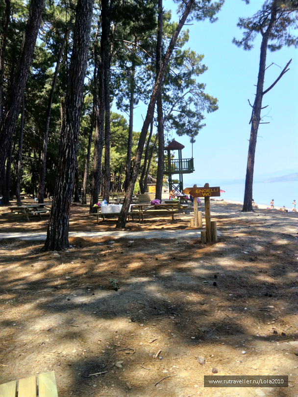 photo 1646528