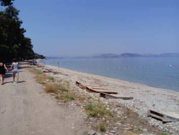photo 1646530
