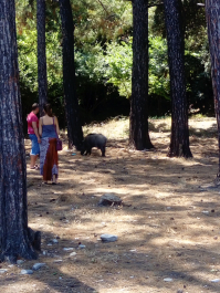 photo 1646531