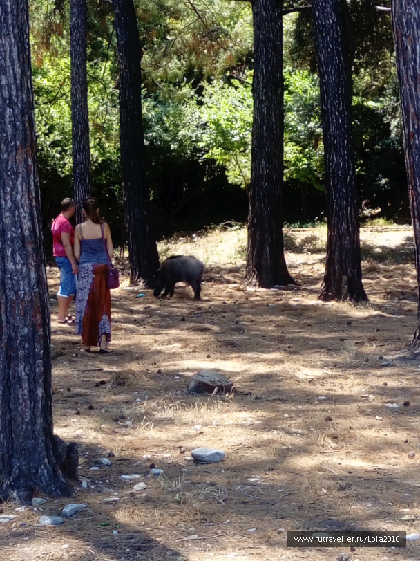 photo 1646531