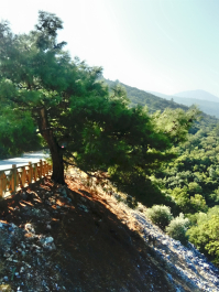 photo 1646534