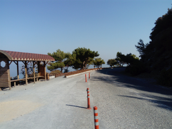 photo 1646536
