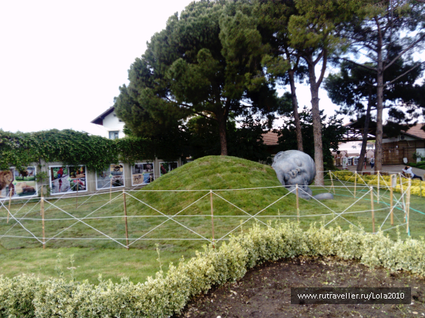 photo 1646551