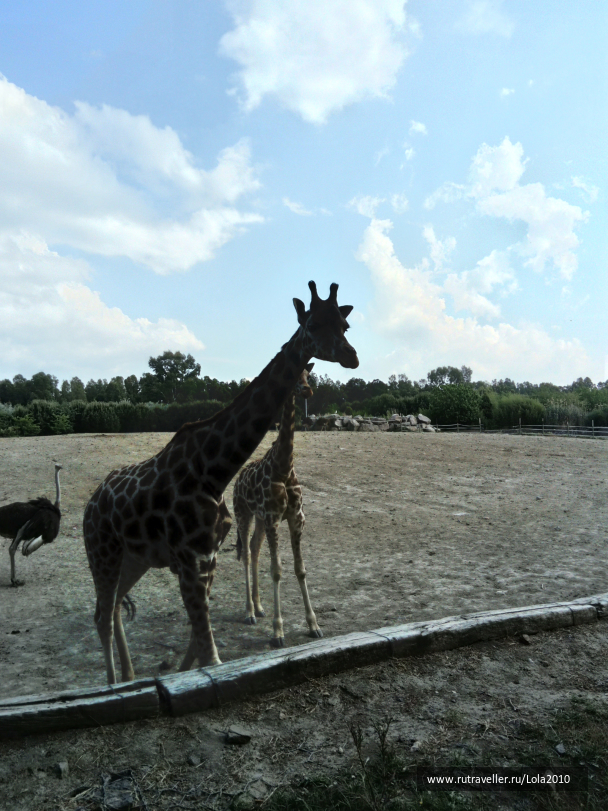 photo 1646552