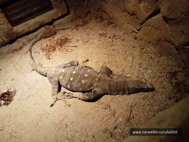 photo 1646554