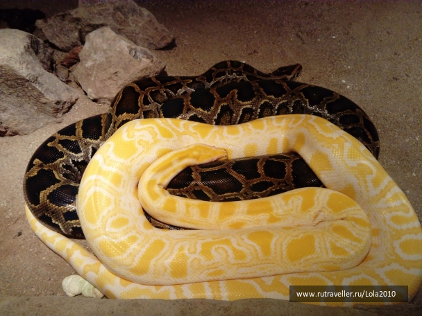 photo 1646555