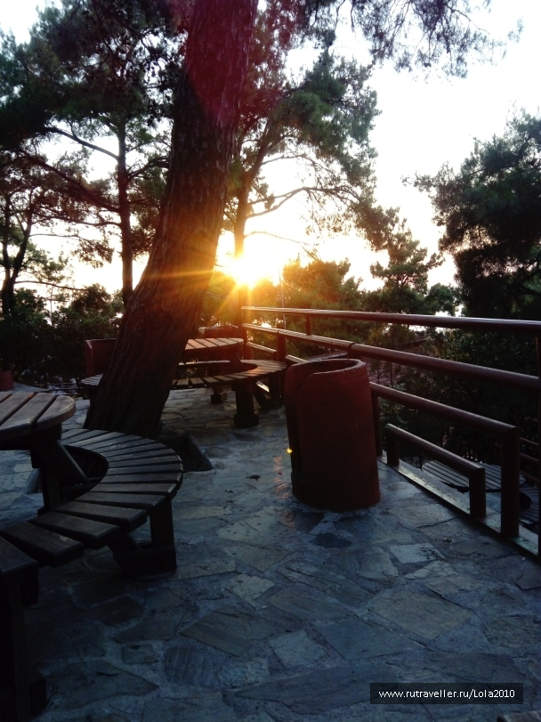 photo 1646556