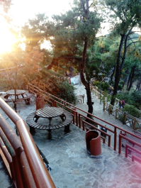 photo 1646557