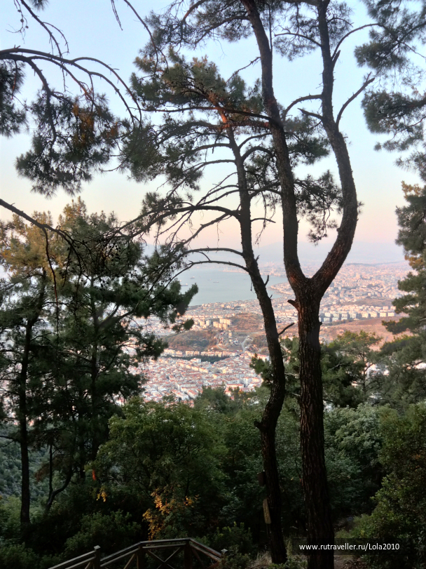 photo 1646559