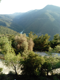 photo 1646560