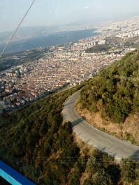 photo 1646561