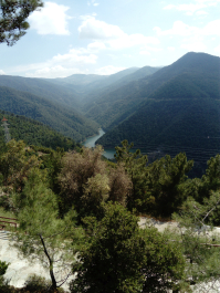 photo 1646562