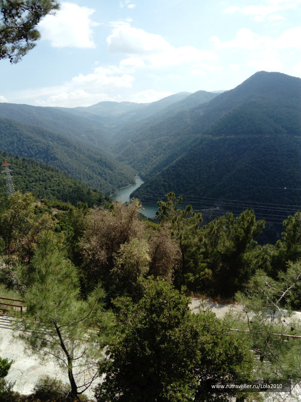 photo 1646562