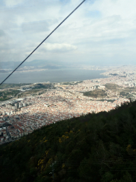photo 1646563