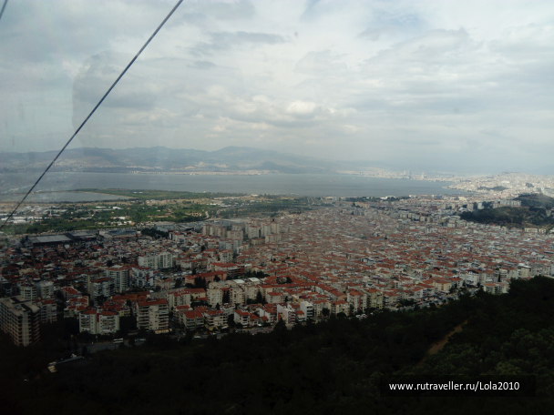 photo 1646564