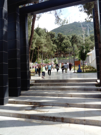 photo 1646568