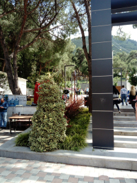photo 1646569