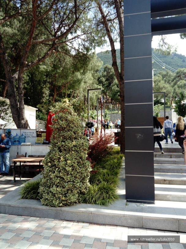 photo 1646569