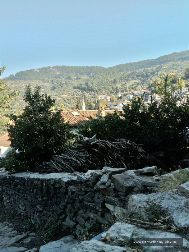 photo 1646578