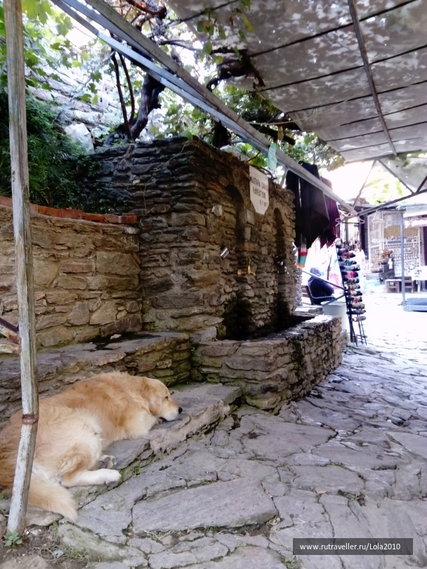 photo 1646579