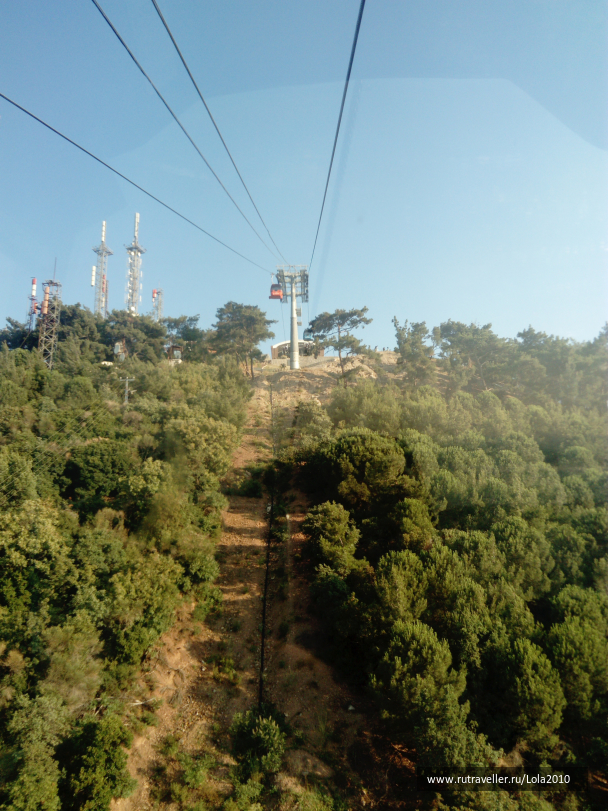 photo 1646582