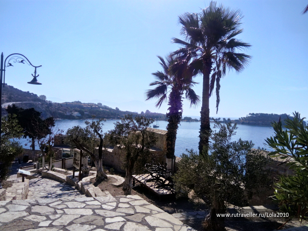 photo 1646585