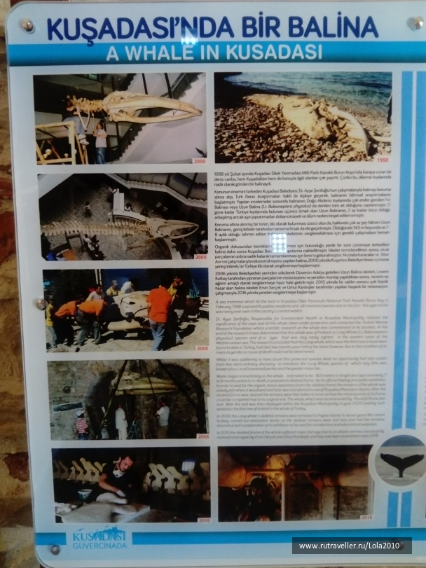 photo 1646586