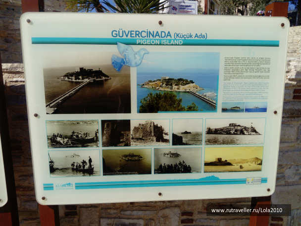 photo 1646589