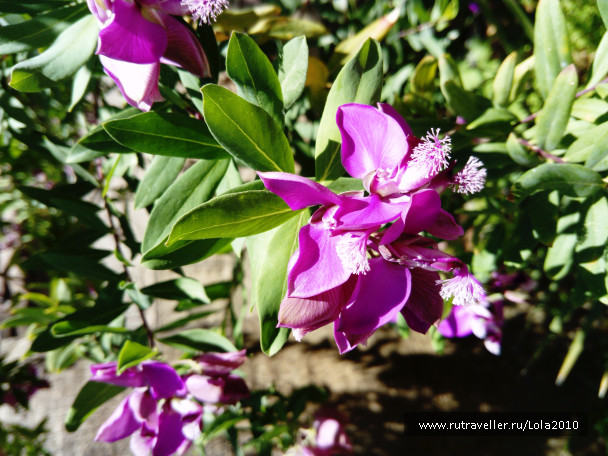 photo 1482047
