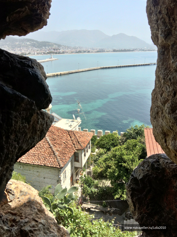 photo 1650542