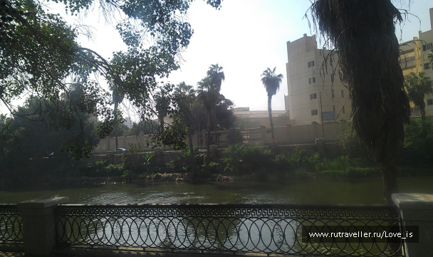 photo 203410
