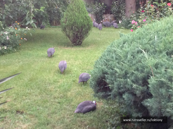photo 413535