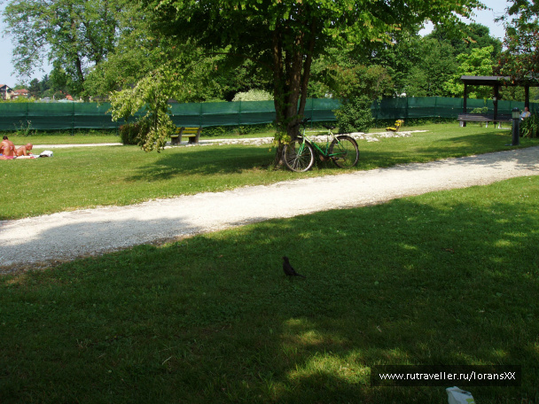 photo 530687