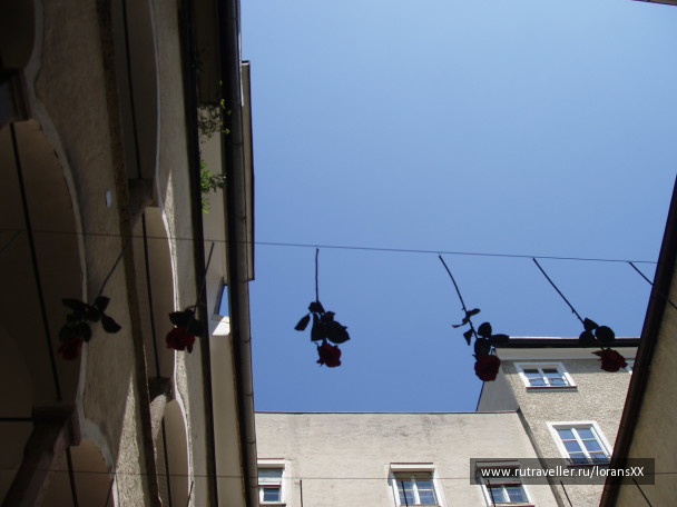 photo 566563