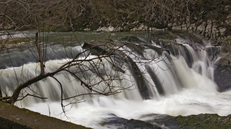 photo 975363