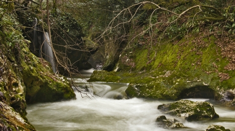 photo 975365