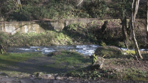 photo 975432